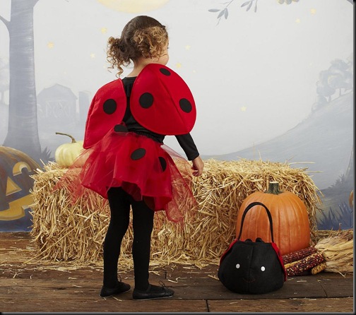 Disfraz casero de mariquita para niña hecho con un tutú - Todo Halloween